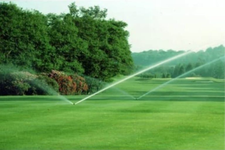 Landscaping Services